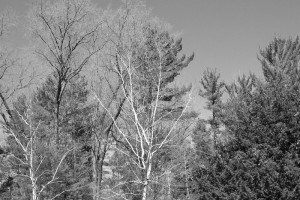 100_0057