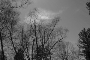 100_0058