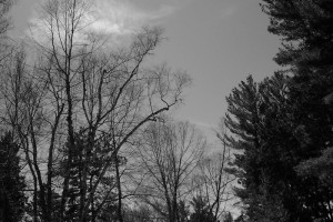 100_0059