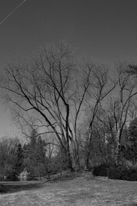 100_0081