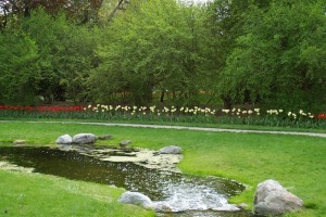 Dow_Gardens_0442