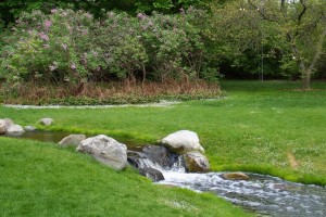 Dow_Gardens_0445