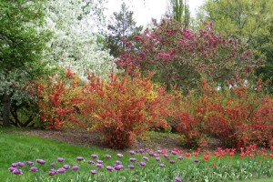Dow_Gardens_0458