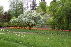 Dow_Gardens_0459