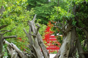 Dow_Gardens_0467