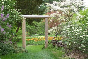 Dow_Gardens_0468