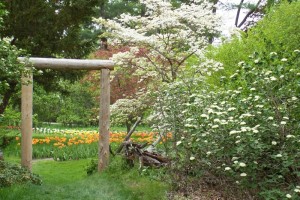 Dow_Gardens_0469