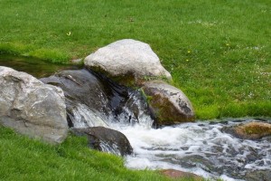Dow_Gardens_0471