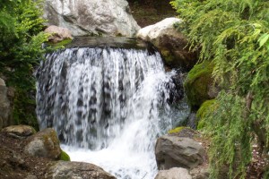 Dow_Gardens_0473