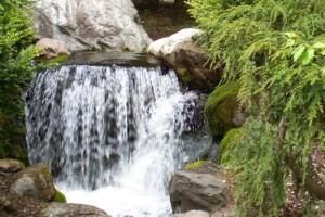 Dow_Gardens_0474